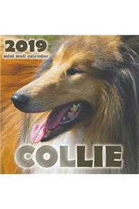 Collie 2019 Mini Wall Calendar