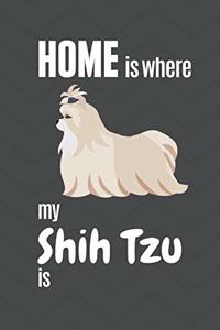 Home is where my Shih Tzu is
