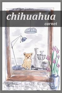 chihuahua carnet