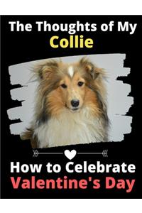 Thoughts of My Collie