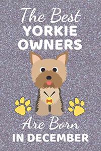The Best Yorkie Owners Are Born In December