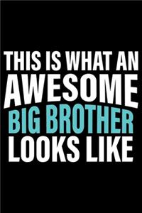 This Is What An Awesome Big Brother Looks Like