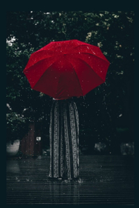 Lady Rain Blank NoteBook
