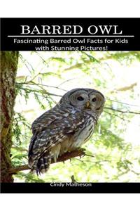 Barred Owl