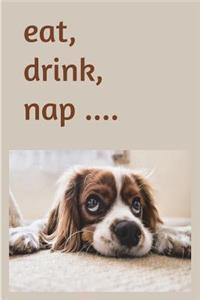 Eat, drink, nap