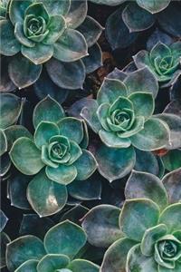 Bullet Journal Succulent Plants Notebook Dotted Journal