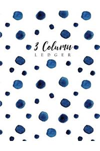 3 Column Ledger