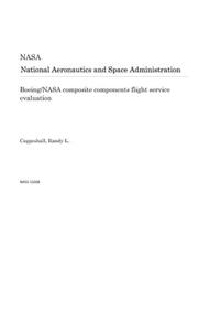 Boeing/NASA Composite Components Flight Service Evaluation