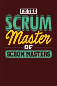 I'm the Scrum Master of Scrum Masters