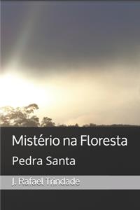 Mistério na Floresta