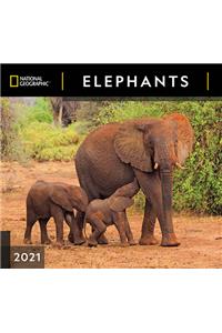 Cal 2021- National Geographic Elephants Wall