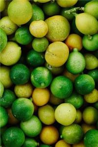 Lemon and Limes Journal