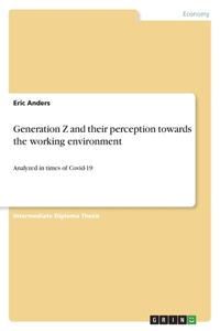 Generation Z and their perception towards the working environment