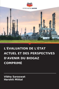 L'Évaluation de l'État Actuel Et Des Perspectives d'Avenir Du Biogaz Comprimé