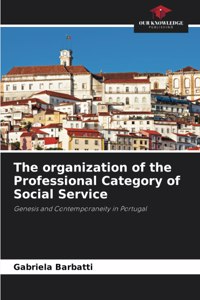 The organization of the Professional Category of Social Service