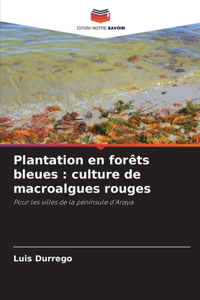 Plantation en forêts bleues