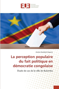perception populaire du fait politique en démocratie congolaise