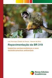 Repavimentação da BR 319