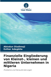 Finanzielle Eingliederung von Kleinst-, kleinen und mittleren Unternehmen in Nigeria