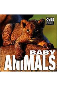 Baby Animals (Minicube)