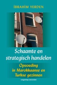 Schaamte en strategisch handelen / druk 1
