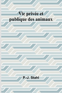 A  Visit to the Bazaar (Edition1)