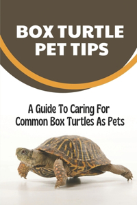 Box Turtle Pet Tips