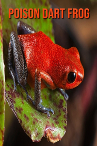 Poison Dart Frog