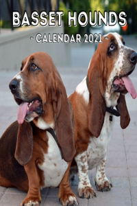 Basset Hounds