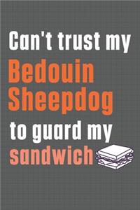 Can't trust my Bedouin Sheepdog to guard my sandwich