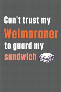 Can't trust my Weimaraner to guard my sandwich