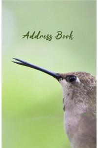Address Book