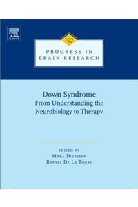 Down Syndrome: From Understanding the Neurobiology to Therapy