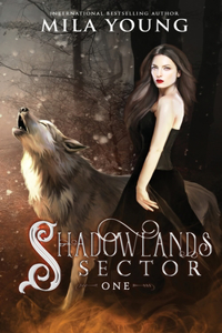 Shadowlands Sector, One