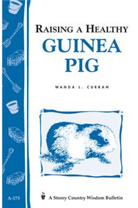 Raising a Healthy Guinea Pig