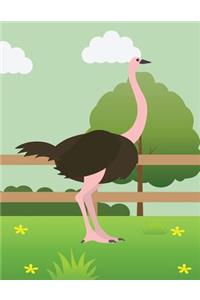 Ostrich Composition notebook