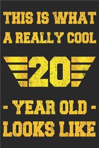 A Really Cool 20 Year Old