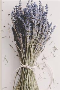 My Essential Oil Recipe Book