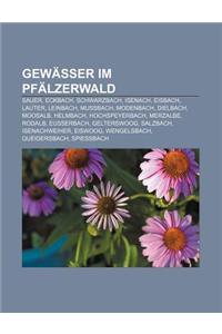 Gewasser Im Pfalzerwald