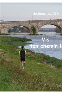 Vis Ton Chemin !