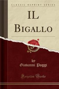 IL Bigallo (Classic Reprint)