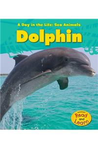 Dolphin