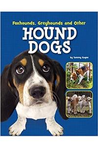 Foxhounds, Greyhounds and Other Hound Dogs