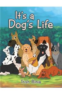 It's a Dog's Life