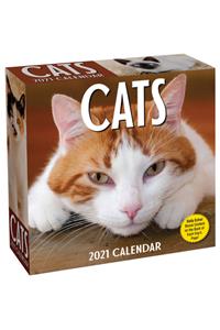 Cats 2021 Day-To-Day Calendar