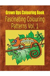 Grown Ups Colouring Book Fascinating Colouring Patterns Vol. 1 Mandalas