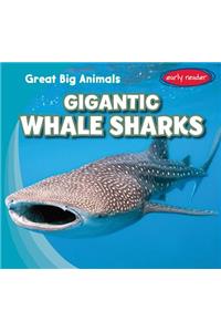 Gigantic Whale Sharks