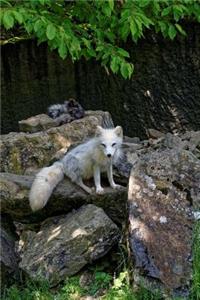 Arctic Fox Checking You Out Journal