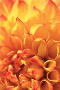 Journal Floral Orange Dahlia Flower
