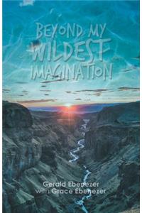 Beyond My Wildest Imagination